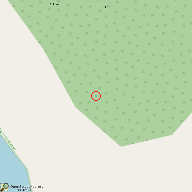 Карта где находится 3-х амбразурный финский пулеметный ДОТ в крупном масштабе
