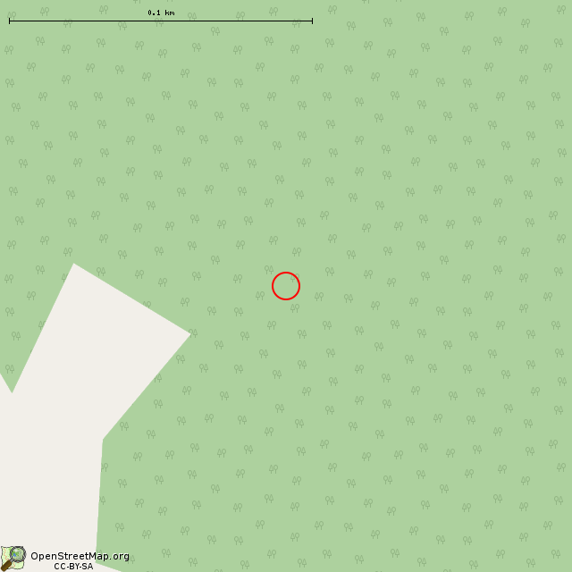 Карта где находится ДОТ (НП) № 1010 КаУР в крупном масштабе