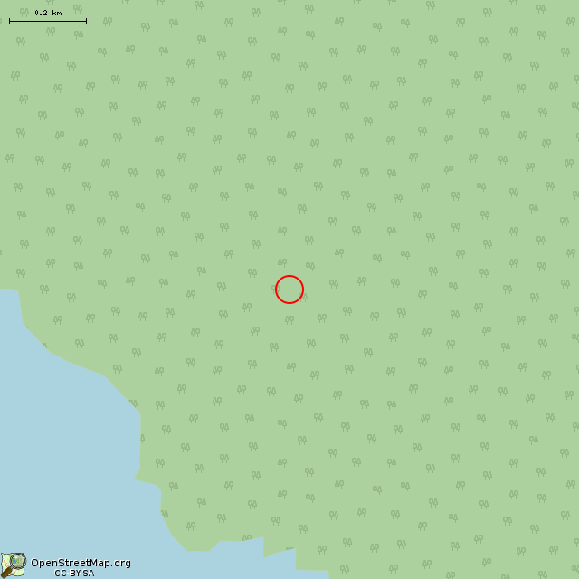Карта где находится Финская артиллерийская батарея Тиуринсаари в среднем масштабе