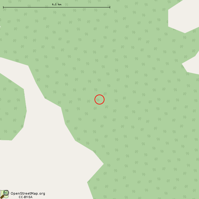 Карта где находится Чудо-гора в крупном масштабе