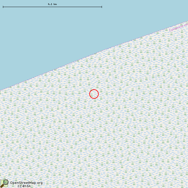 Карта где находится Остатки ж/д рельсов от Дороги жизни в крупном масштабе