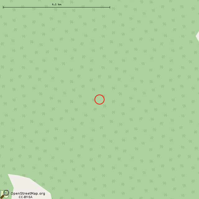 Карта где находится Руины главного здания усадьбы Суур-Мерийоки (Выборг) в крупном масштабе