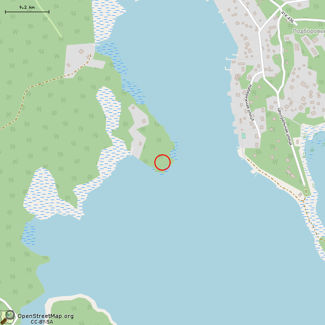 Карта где находится Историческая реконструкция капища викингов. в среднем масштабе