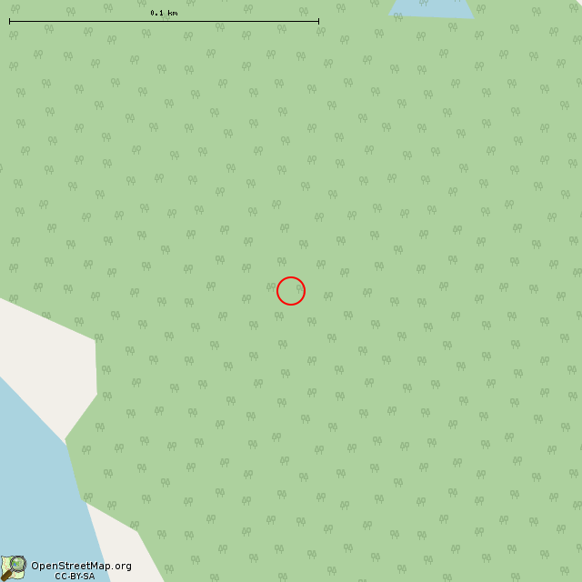 Карта где находится Заброшенный ПТН в крупном масштабе