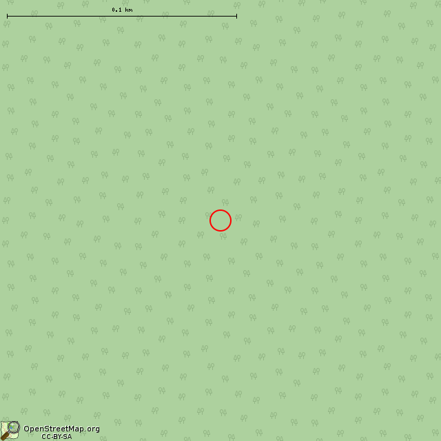 Карта где находится ЖБОТ Си-13 (Приладожское городское поселение) в крупном масштабе
