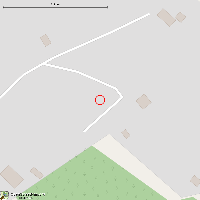 Карта где находится Башня Дибича (Старое Гарколово) в крупном масштабе