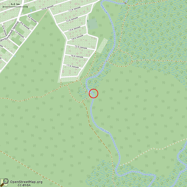 Карта где находится Родник в среднем масштабе